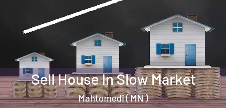  Sell House In Slow Market Mahtomedi ( MN )
