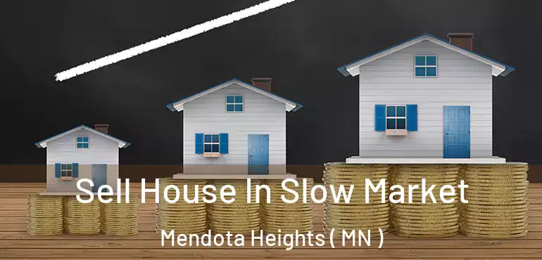  Sell House In Slow Market Mendota Heights ( MN )
