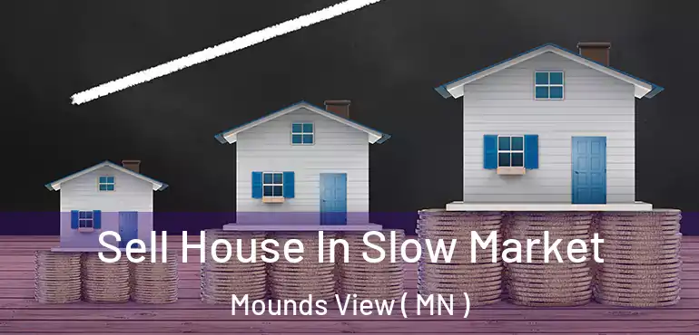  Sell House In Slow Market Mounds View ( MN )