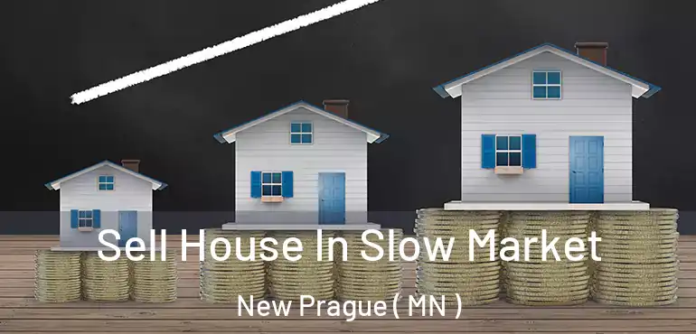 Sell House In Slow Market New Prague ( MN )