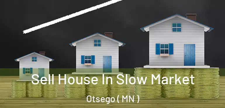  Sell House In Slow Market Otsego ( MN )
