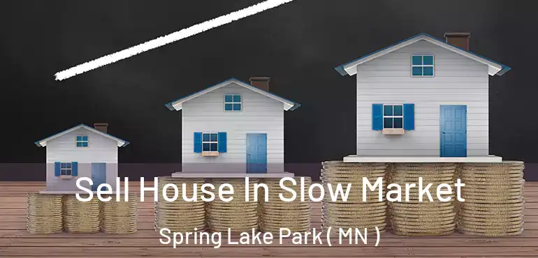  Sell House In Slow Market Spring Lake Park ( MN )