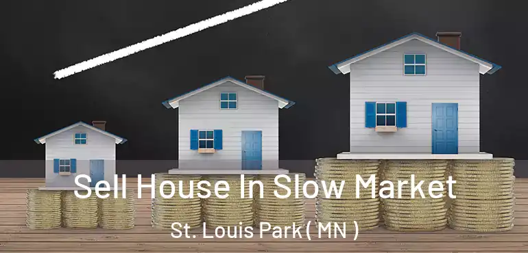  Sell House In Slow Market St. Louis Park ( MN )