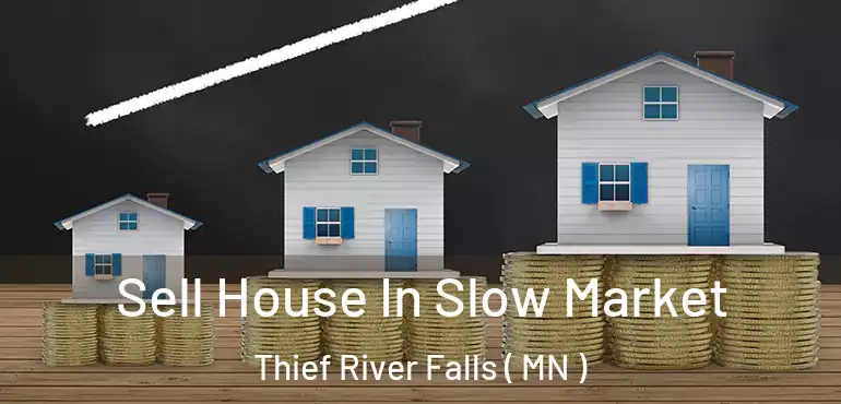  Sell House In Slow Market Thief River Falls ( MN )