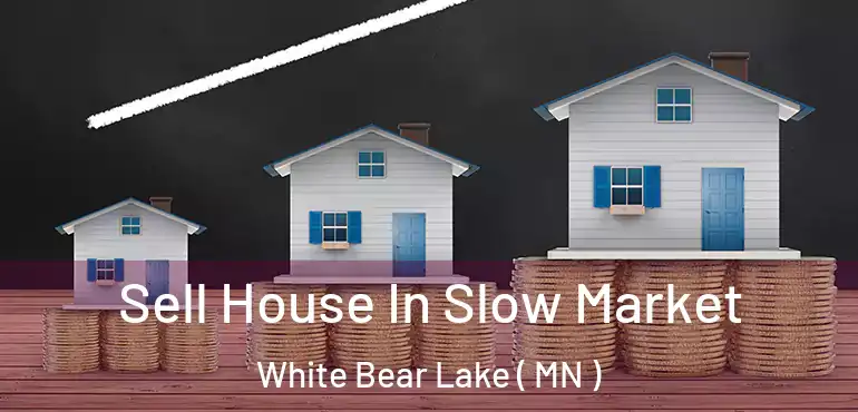  Sell House In Slow Market White Bear Lake ( MN )