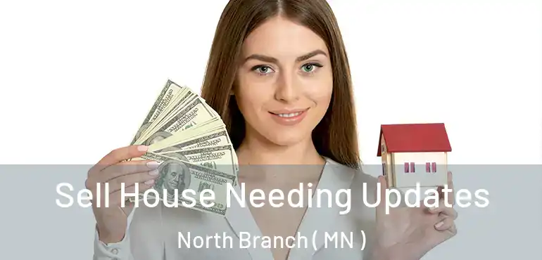  Sell House Needing Updates North Branch ( MN )