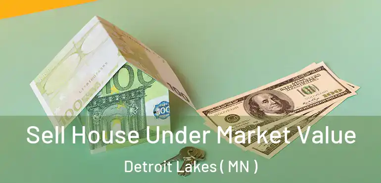  Sell House Under Market Value Detroit Lakes ( MN )