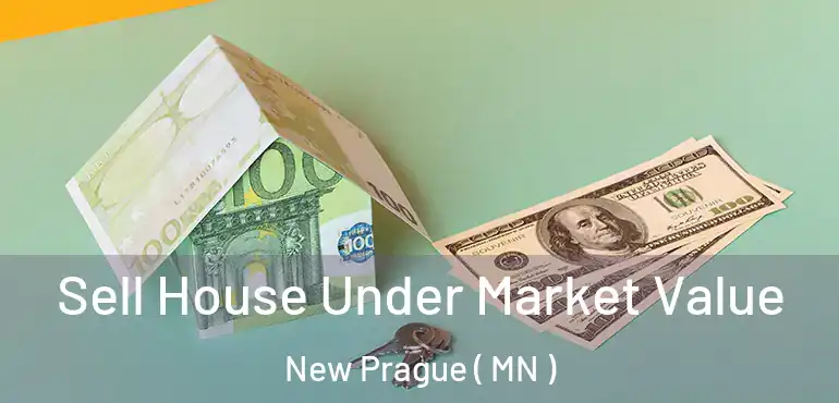  Sell House Under Market Value New Prague ( MN )