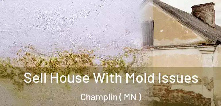  Sell House With Mold Issues Champlin ( MN )