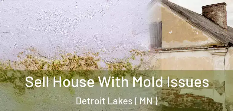 Sell House With Mold Issues Detroit Lakes ( MN )