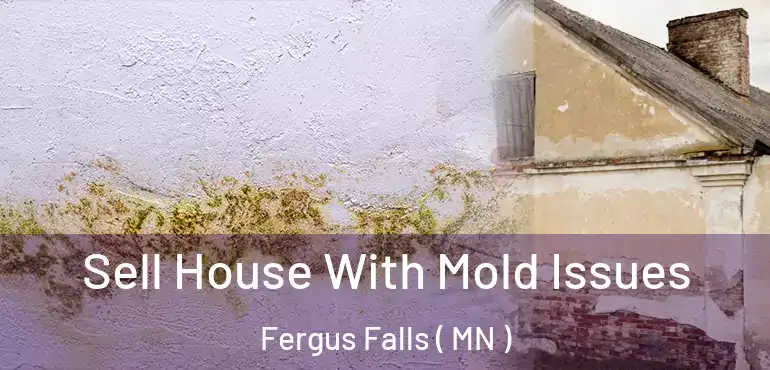  Sell House With Mold Issues Fergus Falls ( MN )