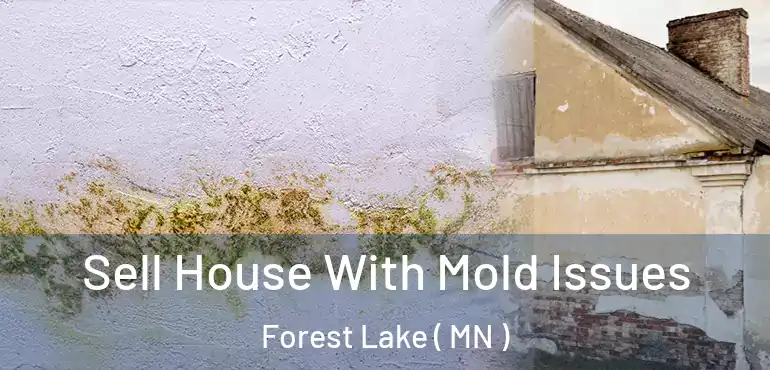  Sell House With Mold Issues Forest Lake ( MN )