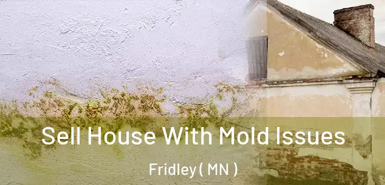  Sell House With Mold Issues Fridley ( MN )