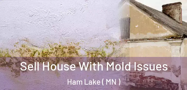  Sell House With Mold Issues Ham Lake ( MN )