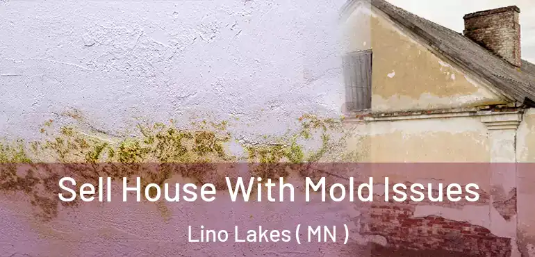  Sell House With Mold Issues Lino Lakes ( MN )