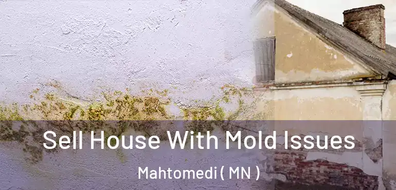  Sell House With Mold Issues Mahtomedi ( MN )