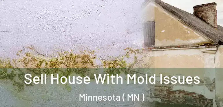  Sell House With Mold Issues Minnesota ( MN )