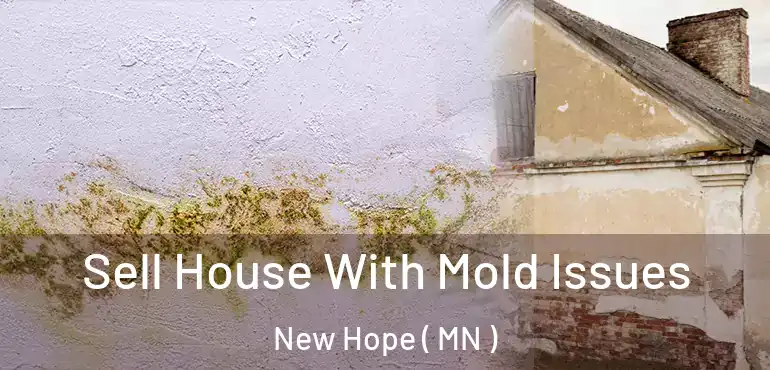  Sell House With Mold Issues New Hope ( MN )