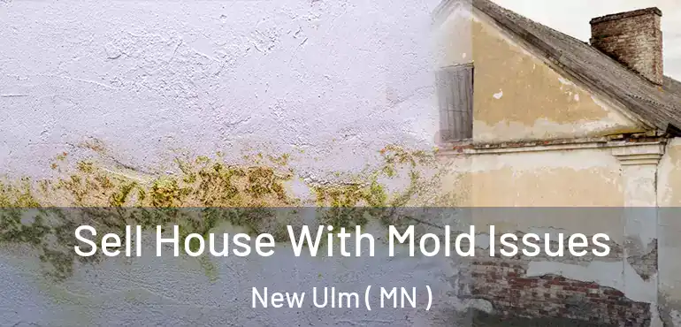  Sell House With Mold Issues New Ulm ( MN )