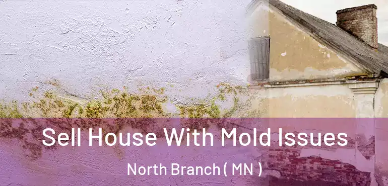  Sell House With Mold Issues North Branch ( MN )