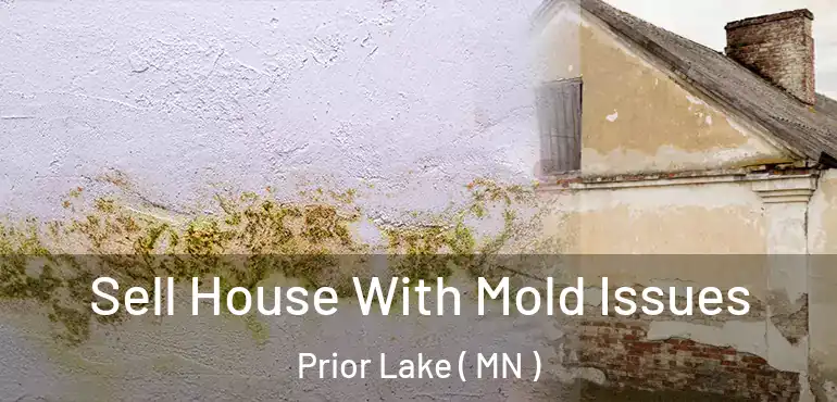  Sell House With Mold Issues Prior Lake ( MN )