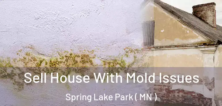  Sell House With Mold Issues Spring Lake Park ( MN )