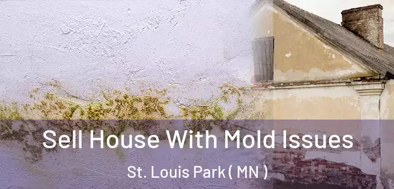  Sell House With Mold Issues St. Louis Park ( MN )