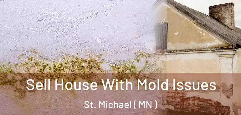  Sell House With Mold Issues St. Michael ( MN )