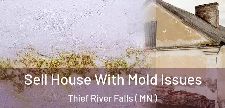  Sell House With Mold Issues Thief River Falls ( MN )