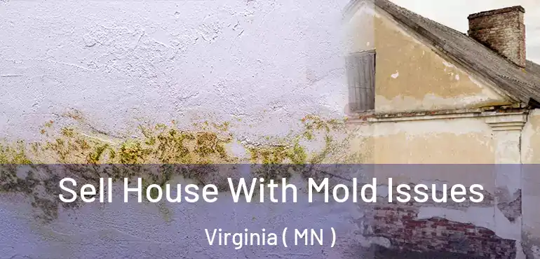  Sell House With Mold Issues Virginia ( MN )