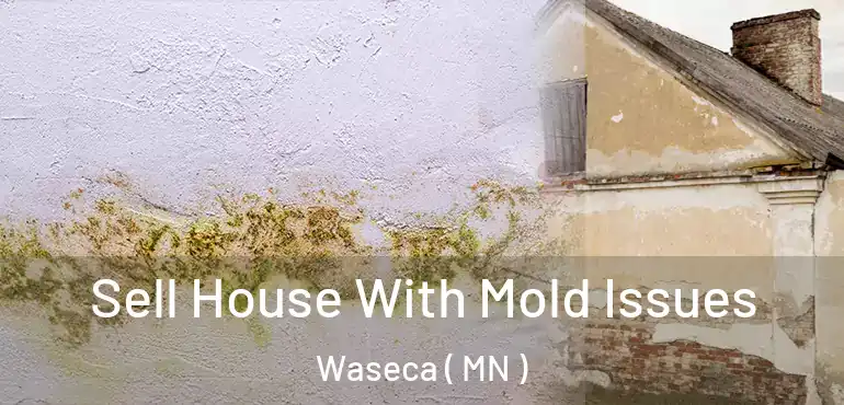 Sell House With Mold Issues Waseca ( MN )