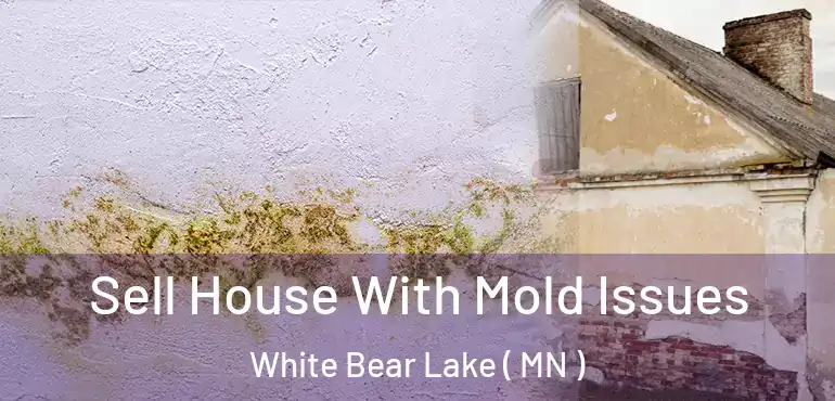  Sell House With Mold Issues White Bear Lake ( MN )