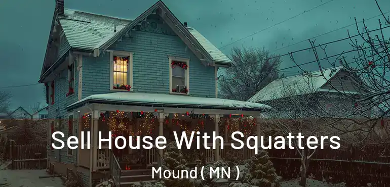 Sell House With Squatters Mound ( MN )