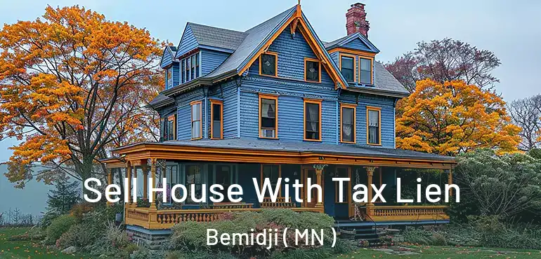  Sell House With Tax Lien Bemidji ( MN )