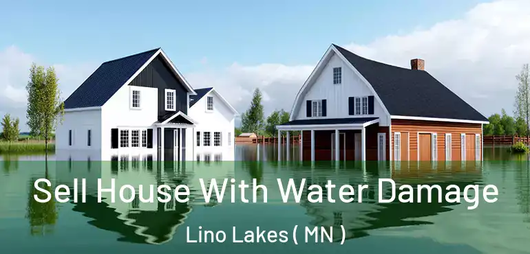 Sell House With Water Damage Lino Lakes ( MN )