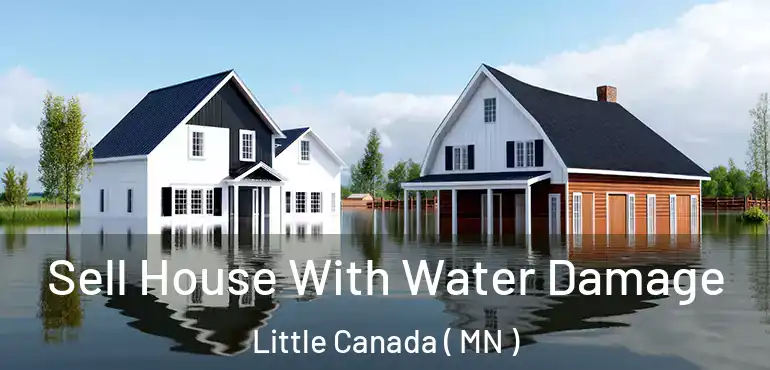  Sell House With Water Damage Little Canada ( MN )