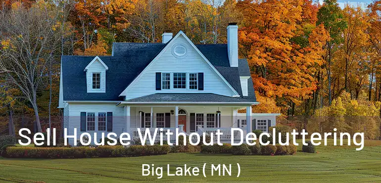  Sell House Without Decluttering Big Lake ( MN )