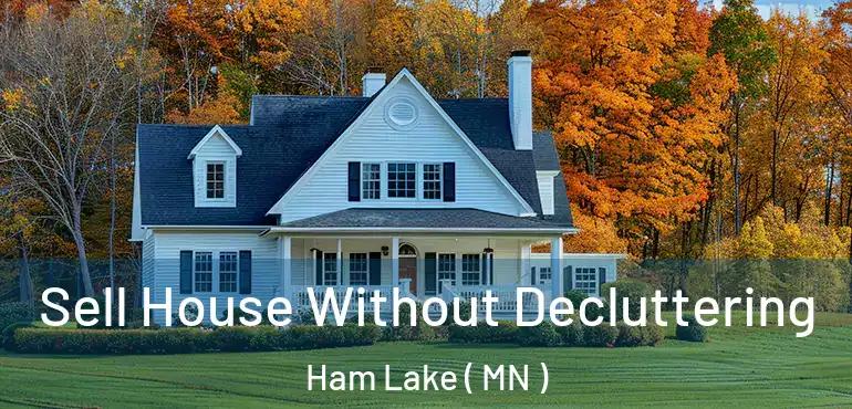  Sell House Without Decluttering Ham Lake ( MN )