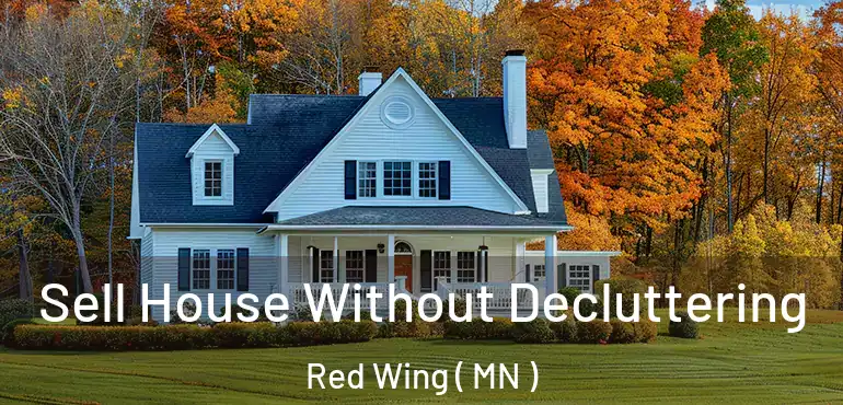  Sell House Without Decluttering Red Wing ( MN )