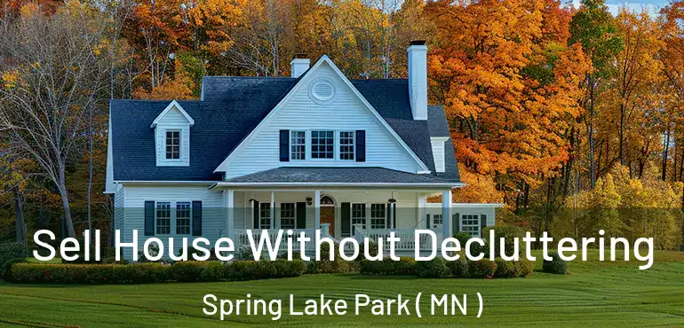  Sell House Without Decluttering Spring Lake Park ( MN )