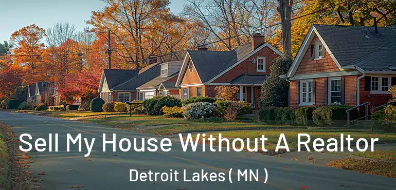  Sell My House Without A Realtor Detroit Lakes ( MN )