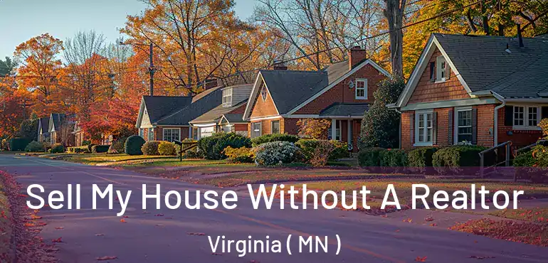  Sell My House Without A Realtor Virginia ( MN )