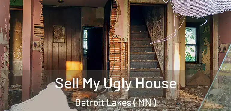  Sell My Ugly House Detroit Lakes ( MN )