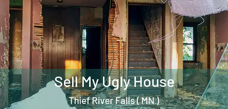  Sell My Ugly House Thief River Falls ( MN )