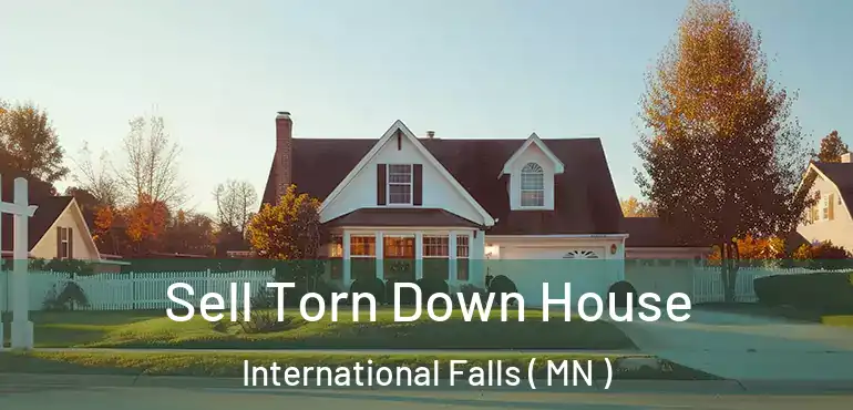  Sell Torn Down House International Falls ( MN )