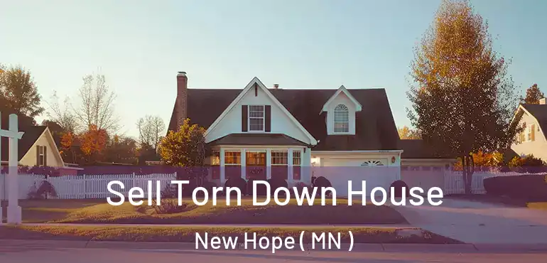  Sell Torn Down House New Hope ( MN )
