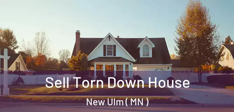  Sell Torn Down House New Ulm ( MN )