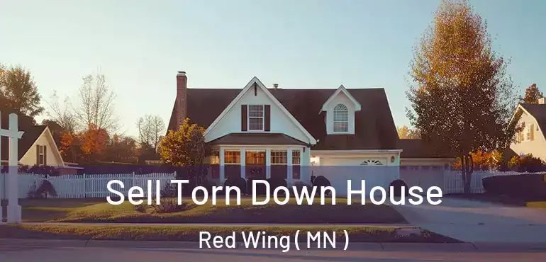  Sell Torn Down House Red Wing ( MN )